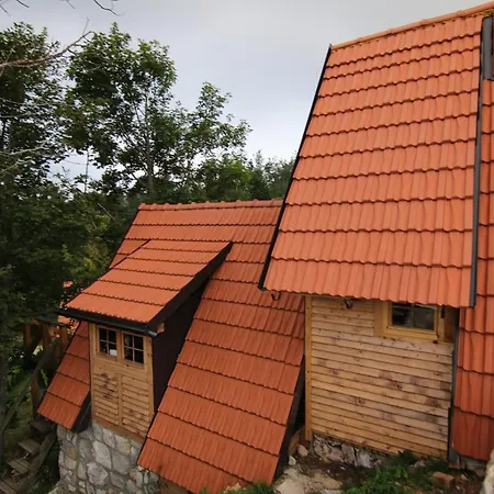 Popovi Cardaci Sekulic
